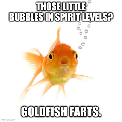 Goldfish Farts | THOSE LITTLE BUBBLES IN SPIRIT LEVELS? GOLDFISH FARTS. | image tagged in goldfish,farts,bubbles,level | made w/ Imgflip meme maker
