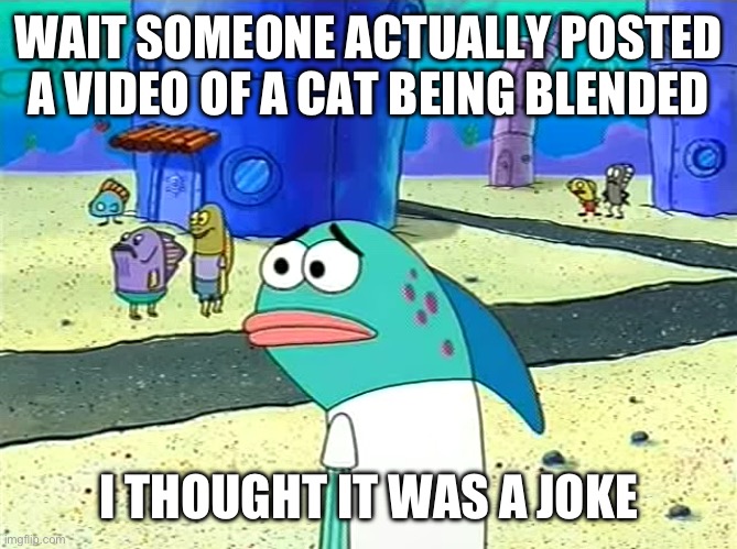 Spongebob I thought it was a joke | WAIT SOMEONE ACTUALLY POSTED A VIDEO OF A CAT BEING BLENDED; I THOUGHT IT WAS A JOKE | image tagged in spongebob i thought it was a joke | made w/ Imgflip meme maker