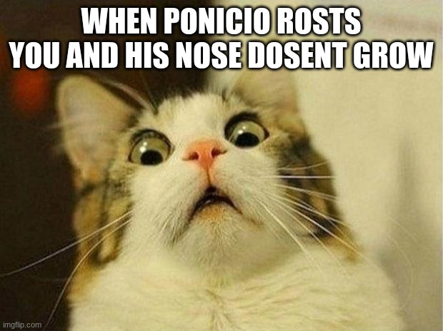 Scared Cat | WHEN PONICIO ROSTS YOU AND HIS NOSE DOSENT GROW | image tagged in memes,scared cat | made w/ Imgflip meme maker