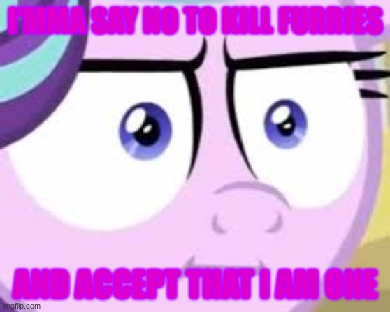 starlight glimmer wtf | I'MMA SAY NO TO KILL FURRIES; AND ACCEPT THAT I AM ONE | image tagged in starlight glimmer wtf,mlp,meme,fun | made w/ Imgflip meme maker