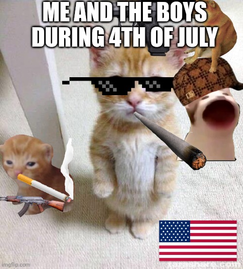 Cute Cat Meme | ME AND THE BOYS DURING 4TH OF JULY | image tagged in memes,cute cat,fourth of july,me and the boys,cat memes | made w/ Imgflip meme maker