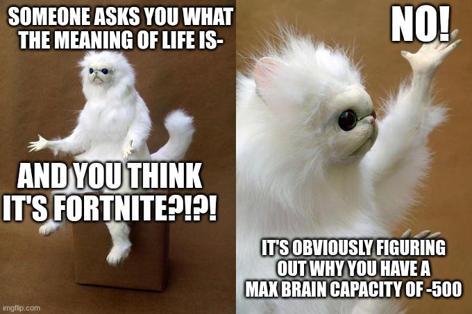 Persian Cat Room Guardian Meme | NO! SOMEONE ASKS YOU WHAT THE MEANING OF LIFE IS-; AND YOU THINK IT'S FORTNITE?!?! IT'S OBVIOUSLY FIGURING OUT WHY YOU HAVE A MAX BRAIN CAPACITY OF -500 | image tagged in memes,persian cat room guardian | made w/ Imgflip meme maker