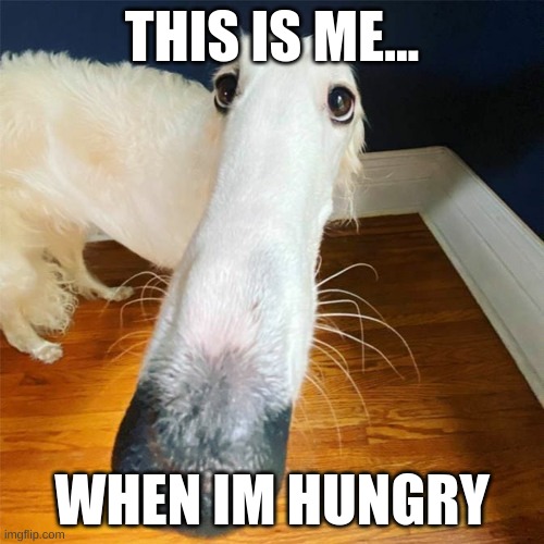 Let me do it for you... | THIS IS ME... WHEN IM HUNGRY | image tagged in let me do it for you | made w/ Imgflip meme maker