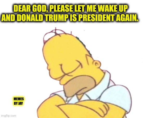 Please! | DEAR GOD, PLEASE LET ME WAKE UP AND DONALD TRUMP IS PRESIDENT AGAIN. MEMES BY JAY | image tagged in homer asleep,donald trump,president | made w/ Imgflip meme maker