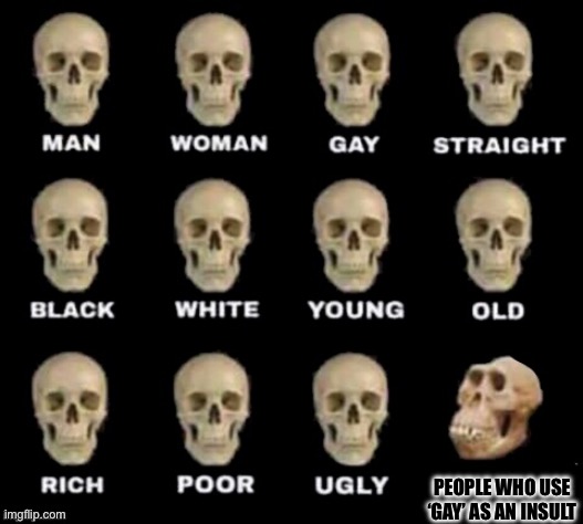 true | PEOPLE WHO USE ‘GAY’ AS AN INSULT | image tagged in idiot skull | made w/ Imgflip meme maker
