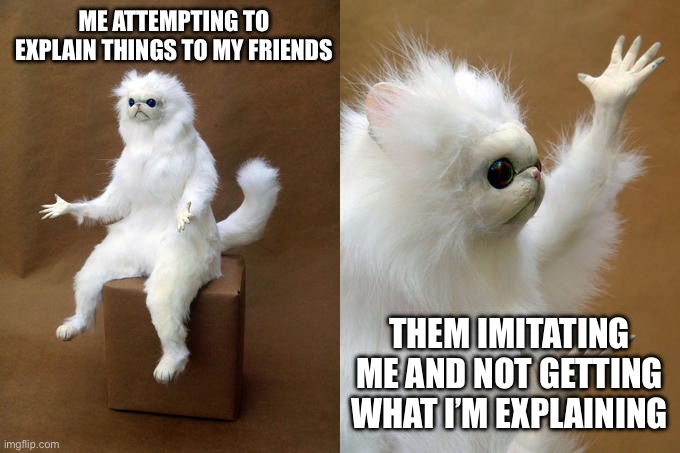 Friends are dumb sometimes | ME ATTEMPTING TO EXPLAIN THINGS TO MY FRIENDS; THEM IMITATING ME AND NOT GETTING WHAT I’M EXPLAINING | image tagged in memes,persian cat room guardian | made w/ Imgflip meme maker