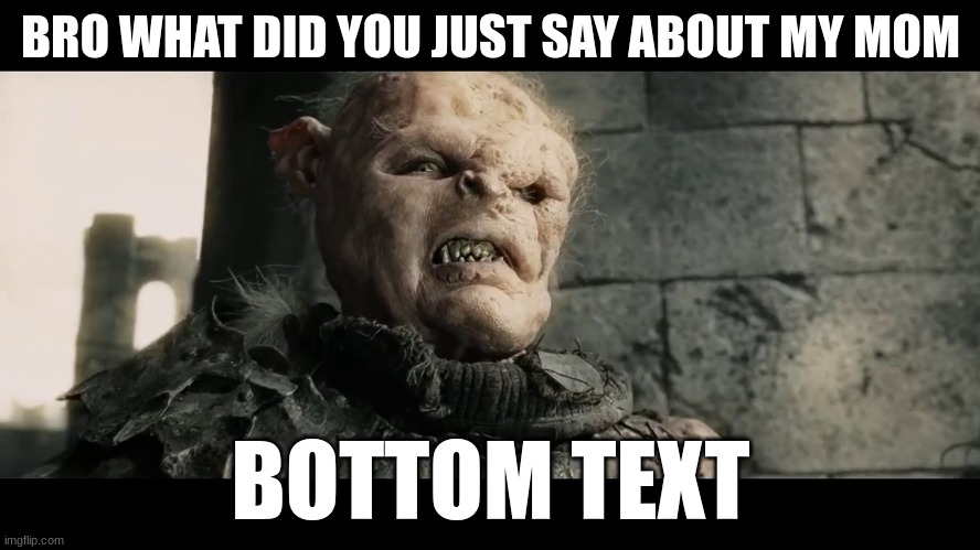 age of men | BRO WHAT DID YOU JUST SAY ABOUT MY MOM; BOTTOM TEXT | image tagged in age of men | made w/ Imgflip meme maker