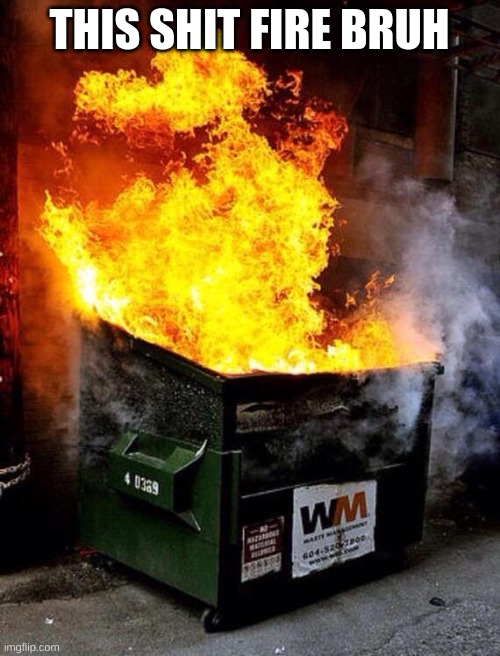 Dumpster Fire | THIS SHIT FIRE BRUH | image tagged in dumpster fire | made w/ Imgflip meme maker