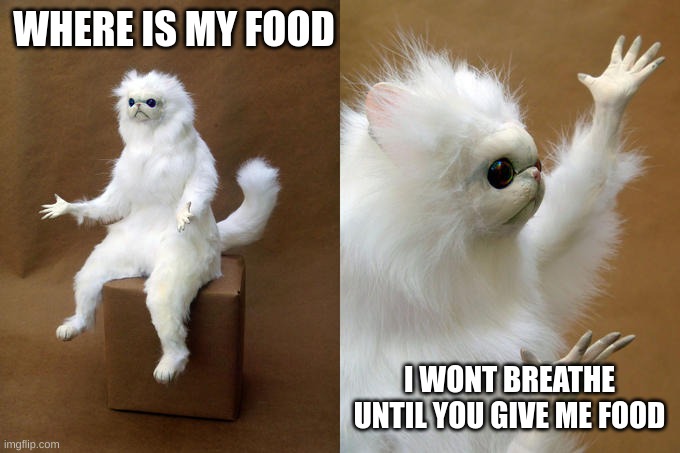 Persian Cat Room Guardian | WHERE IS MY FOOD; I WONT BREATHE UNTIL YOU GIVE ME FOOD | image tagged in memes,persian cat room guardian | made w/ Imgflip meme maker