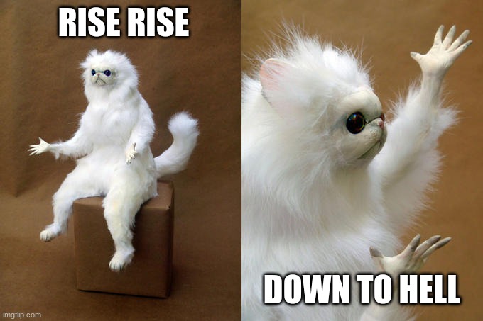 Persian Cat Room Guardian Meme | RISE RISE; DOWN TO HELL | image tagged in memes,persian cat room guardian | made w/ Imgflip meme maker