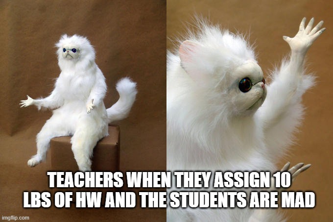 Persian Cat Room Guardian | TEACHERS WHEN THEY ASSIGN 10 LBS OF HW AND THE STUDENTS ARE MAD | image tagged in memes,persian cat room guardian | made w/ Imgflip meme maker