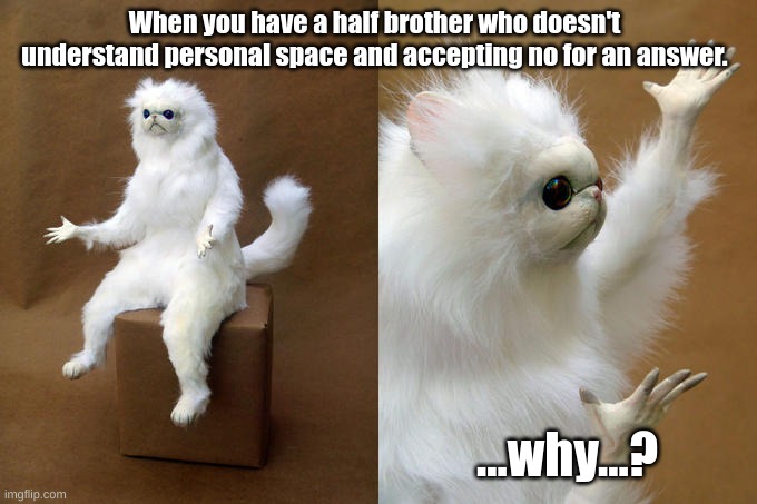 Persian Cat Room Guardian | When you have a half brother who doesn't understand personal space and accepting no for an answer. ...why...? | image tagged in memes,persian cat room guardian | made w/ Imgflip meme maker