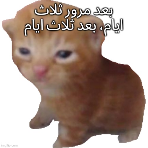 Herbert | بعد مرور ثلاث ايام، بعد ثلاث ايام | image tagged in herbert | made w/ Imgflip meme maker