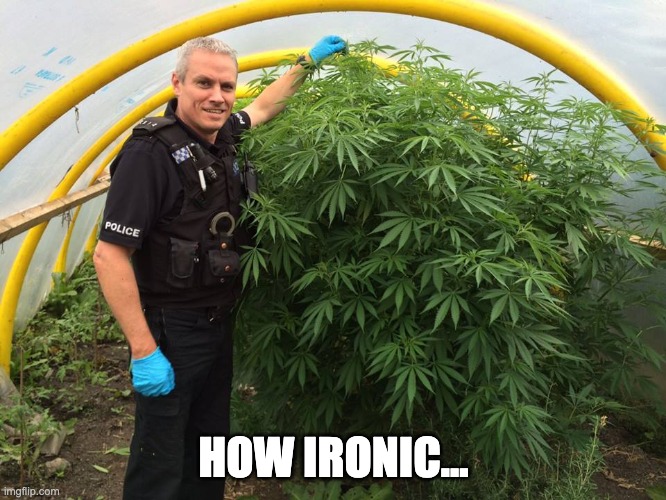 Police Weed Cannabis Stoned  | HOW IRONIC... | image tagged in police weed cannabis stoned | made w/ Imgflip meme maker