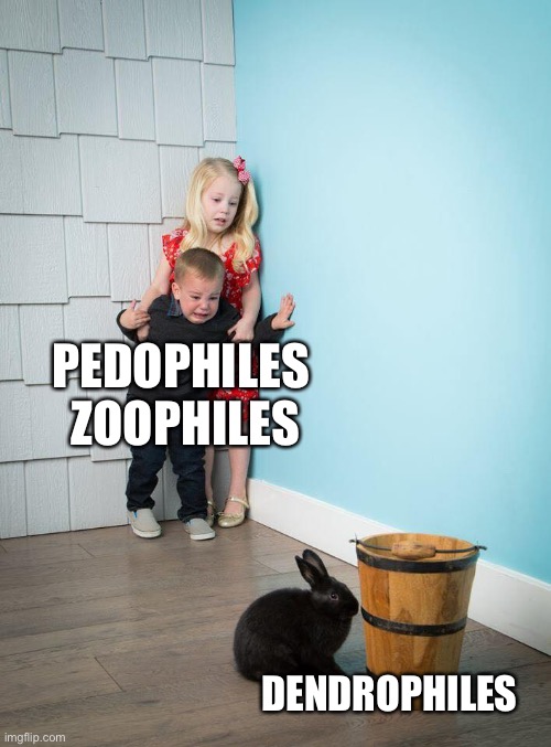 Dendrophilia = sexual attraction and arousal from trees | PEDOPHILES 
ZOOPHILES; DENDROPHILES | image tagged in kids afraid of rabbit | made w/ Imgflip meme maker