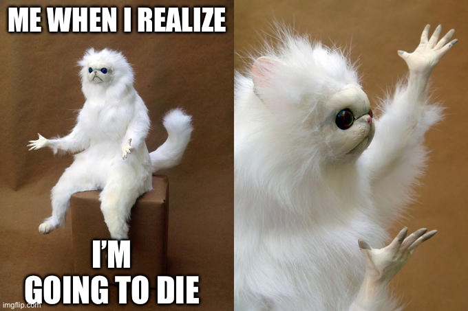 :( | ME WHEN I REALIZE; I’M GOING TO DIE | image tagged in memes,persian cat room guardian | made w/ Imgflip meme maker