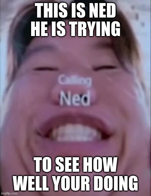 ned | THIS IS NED HE IS TRYING; TO SEE HOW WELL YOUR DOING | image tagged in meme | made w/ Imgflip meme maker