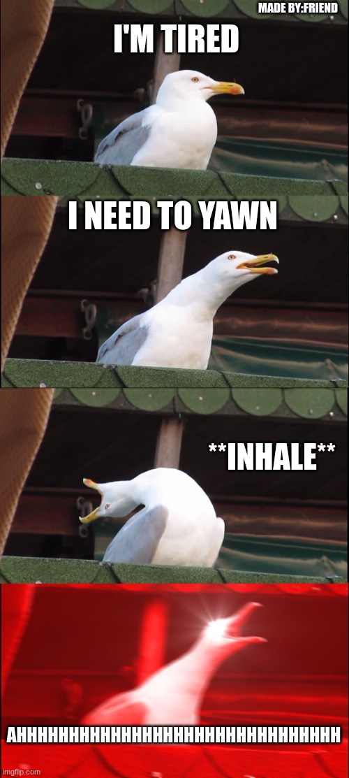 E | MADE BY:FRIEND; I'M TIRED; I NEED TO YAWN; **INHALE**; AHHHHHHHHHHHHHHHHHHHHHHHHHHHHHHH | image tagged in memes,inhaling seagull | made w/ Imgflip meme maker