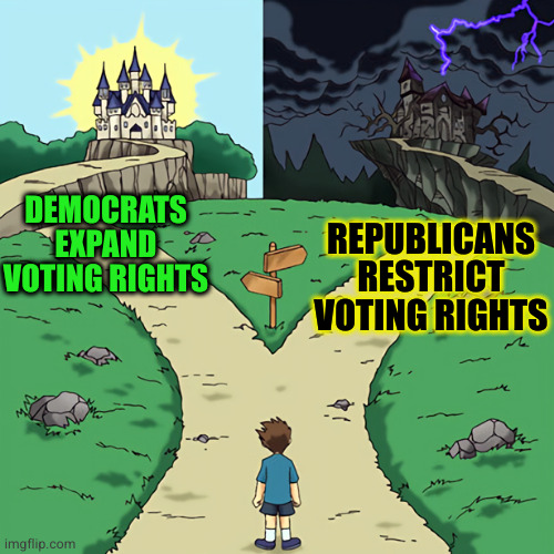 If your party has to lie, cheat and steal to win an election, maybe you should stop trusting them | DEMOCRATS EXPAND VOTING RIGHTS; REPUBLICANS RESTRICT VOTING RIGHTS | image tagged in good vs evil path | made w/ Imgflip meme maker