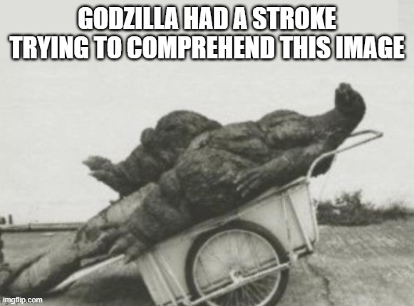 Godzilla had stroke | GODZILLA HAD A STROKE TRYING TO COMPREHEND THIS IMAGE | image tagged in godzilla had stroke | made w/ Imgflip meme maker