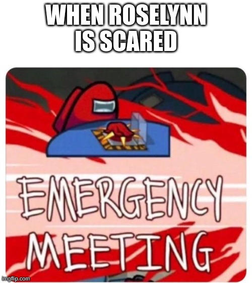 Emergency Meeting Among Us | WHEN ROSELYNN IS SCARED | image tagged in emergency meeting among us | made w/ Imgflip meme maker