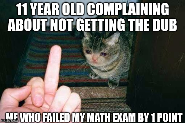 middle finger sad cat | 11 YEAR OLD COMPLAINING ABOUT NOT GETTING THE DUB; ME WHO FAILED MY MATH EXAM BY 1 POINT | image tagged in middle finger sad cat | made w/ Imgflip meme maker