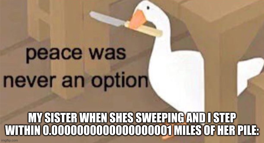Untitled Goose Peace Was Never an Option | MY SISTER WHEN SHES SWEEPING AND I STEP WITHIN 0.0000000000000000001 MILES OF HER PILE: | image tagged in untitled goose peace was never an option | made w/ Imgflip meme maker