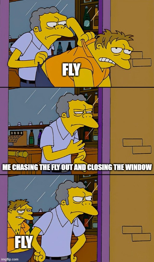 How do they do that? | FLY; ME CHASING THE FLY OUT AND CLOSING THE WINDOW; FLY | image tagged in moe throws barney | made w/ Imgflip meme maker