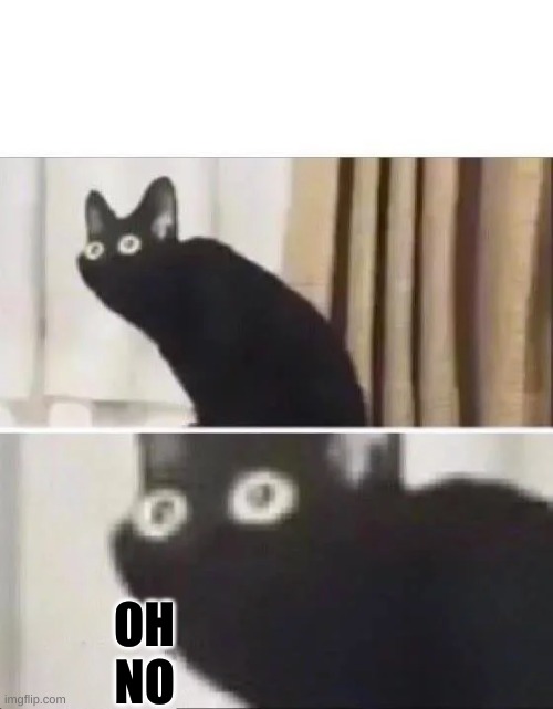 Oh No Black Cat | OH
NO | image tagged in oh no black cat | made w/ Imgflip meme maker