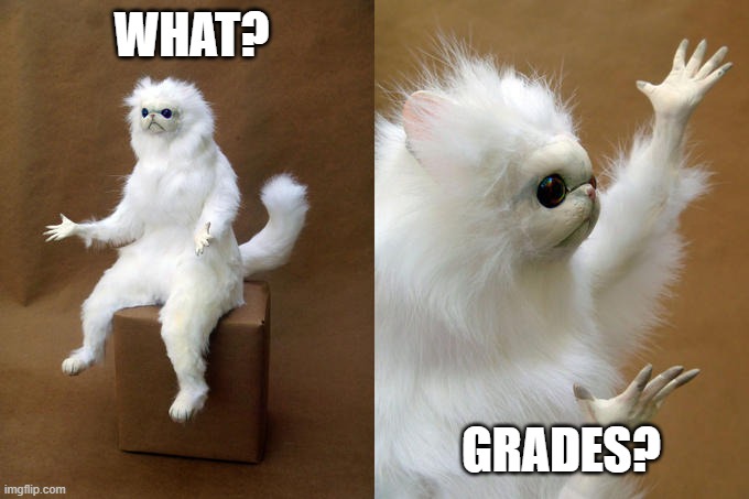 Persian Cat Room Guardian | WHAT? GRADES? | image tagged in memes,persian cat room guardian | made w/ Imgflip meme maker