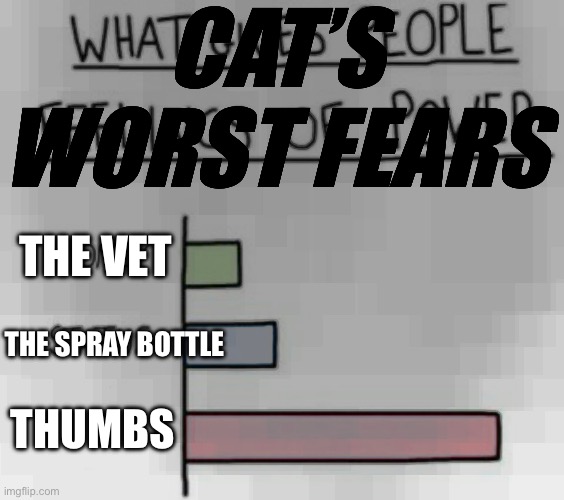 Cat’s worst fears | CAT’S WORST FEARS; THE VET; THE SPRAY BOTTLE; THUMBS | image tagged in what gives people feelings of power | made w/ Imgflip meme maker