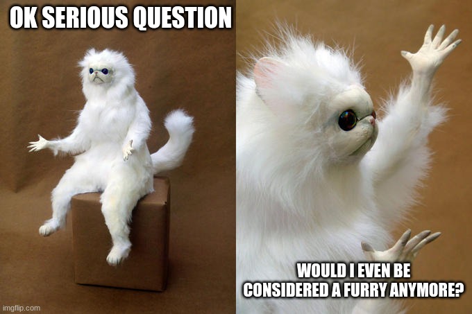 Persian Cat Room Guardian Meme | OK SERIOUS QUESTION; WOULD I EVEN BE CONSIDERED A FURRY ANYMORE? | image tagged in memes,persian cat room guardian | made w/ Imgflip meme maker