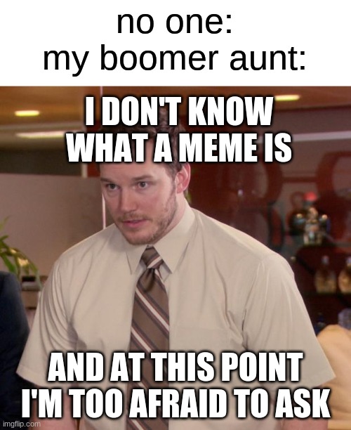 my aunt is possibly one of the sweetest in the world, i'm just joking | no one:
my boomer aunt:; I DON'T KNOW WHAT A MEME IS; AND AT THIS POINT I'M TOO AFRAID TO ASK | image tagged in memes,afraid to ask andy | made w/ Imgflip meme maker
