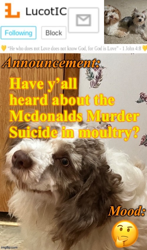 . | Have y’all heard about the Mcdonalds Murder Suicide in moultry? 🤔 | image tagged in lucotic s fangz announcement temp thanks strike | made w/ Imgflip meme maker