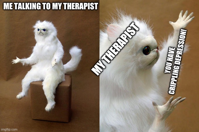 Persian Cat Room Guardian | ME TALKING TO MY THERAPIST; MY THERAPIST; YOU HAVE CRIPPLING DEPRESSION! | image tagged in memes,persian cat room guardian | made w/ Imgflip meme maker