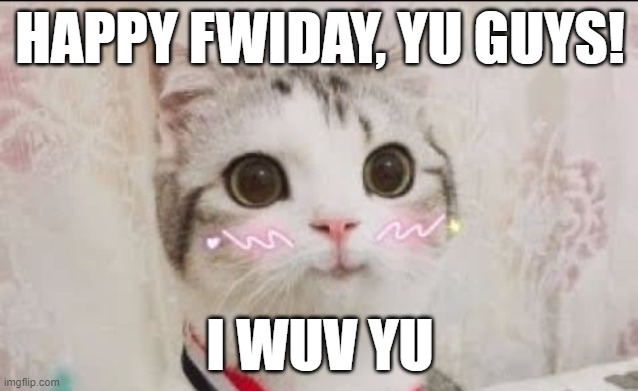 Have a good weekend, ya'll. I don't know why I chose this template! XD | HAPPY FWIDAY, YU GUYS! I WUV YU | image tagged in cute cat uwu | made w/ Imgflip meme maker