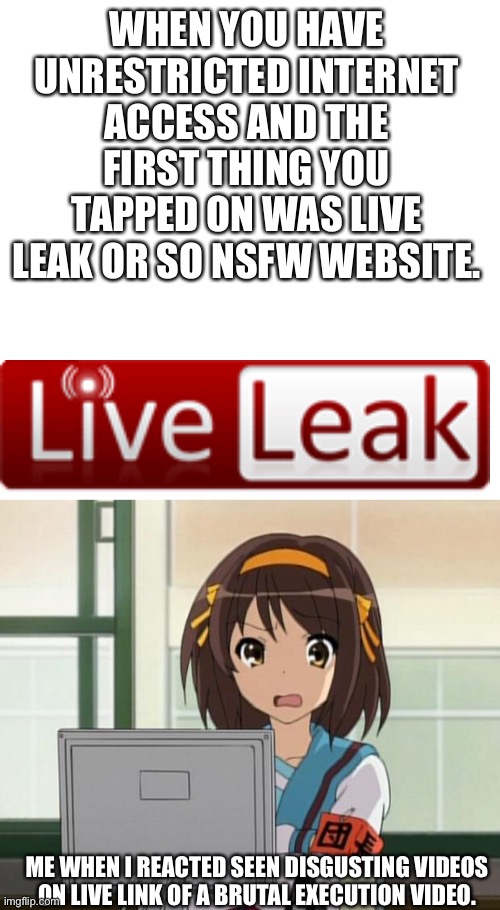 POV the mid 2000s of the Internet | WHEN YOU HAVE UNRESTRICTED INTERNET ACCESS AND THE FIRST THING YOU TAPPED ON WAS LIVE LEAK OR SO NSFW WEBSITE. ME WHEN I REACTED SEEN DISGUSTING VIDEOS ON LIVE LINK OF A BRUTAL EXECUTION VIDEO. | image tagged in haruhi internet disturbed | made w/ Imgflip meme maker