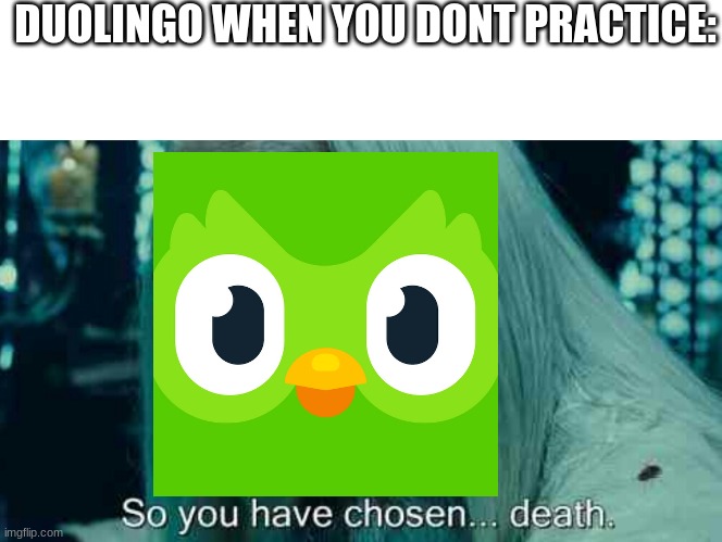 So you have chosen death | DUOLINGO WHEN YOU DONT PRACTICE: | image tagged in so you have chosen death | made w/ Imgflip meme maker