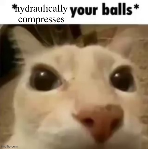 X your balls | hydraulically compresses | image tagged in x your balls | made w/ Imgflip meme maker