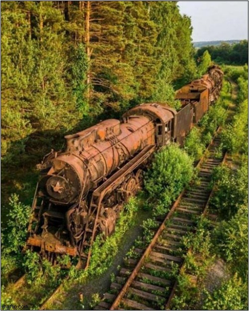 Russian Train On A Siding | image tagged in russian,train,overgrown | made w/ Imgflip meme maker