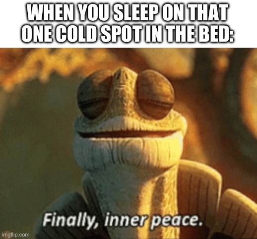 Very nice | WHEN YOU SLEEP ON THAT ONE COLD SPOT IN THE BED: | image tagged in finally inner peace | made w/ Imgflip meme maker
