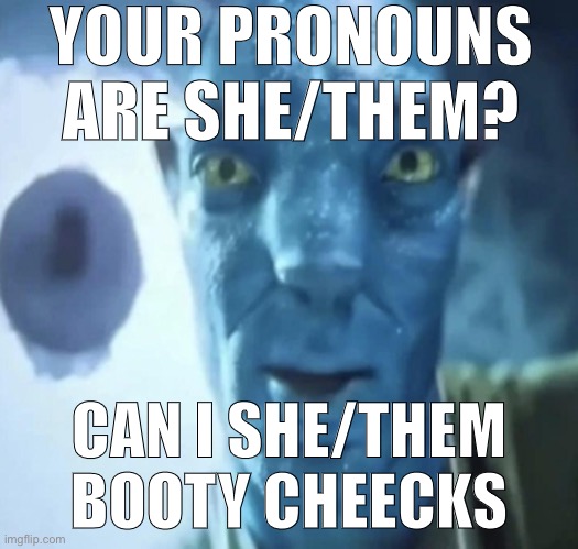 Staring Avatar 2 dude | YOUR PRONOUNS ARE SHE/THEM? CAN I SHE/THEM BOOTY CHEECKS | image tagged in staring avatar 2 dude | made w/ Imgflip meme maker