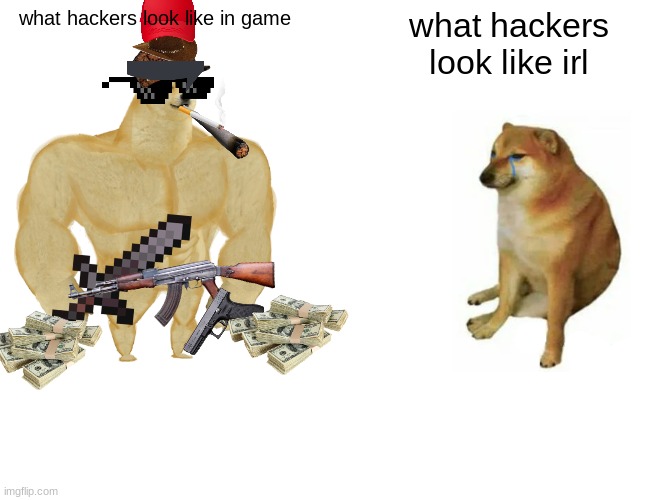 Buff Doge vs. Cheems | what hackers look like in game; what hackers look like irl | image tagged in memes,buff doge vs cheems | made w/ Imgflip meme maker