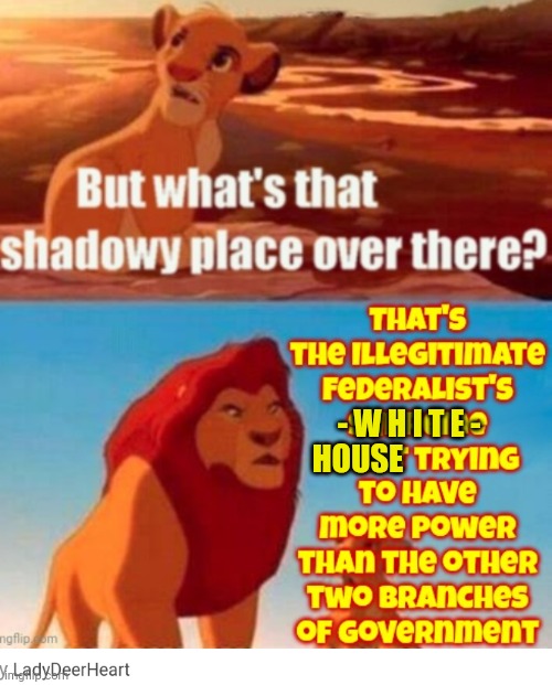 Dems Luv Power | - W H I T E -; HOUSE | image tagged in liberals,leftists,democrats | made w/ Imgflip meme maker