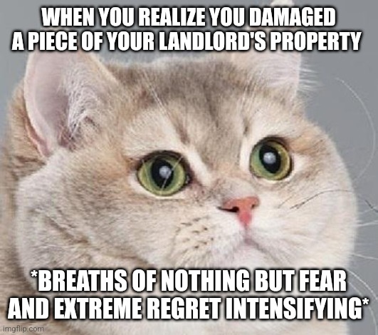 That literally happened like several months back basically | WHEN YOU REALIZE YOU DAMAGED A PIECE OF YOUR LANDLORD'S PROPERTY; *BREATHS OF NOTHING BUT FEAR AND EXTREME REGRET INTENSIFYING* | image tagged in breathing intensifies,memes,cats,dank memes,relatable,oh shit | made w/ Imgflip meme maker