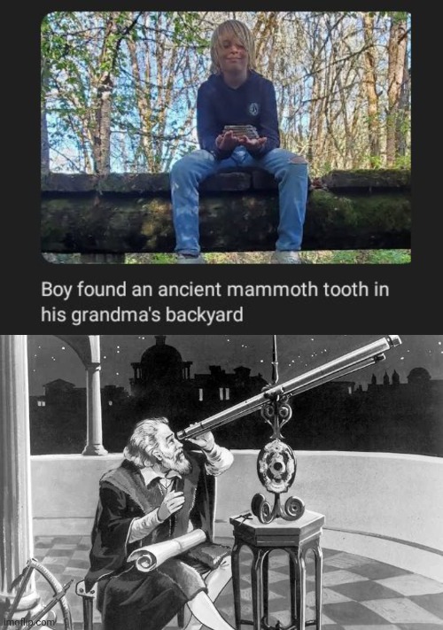 An ancient mammoth tooth | image tagged in what a discovery,mammoth,tooth,grandma,backyard,memes | made w/ Imgflip meme maker