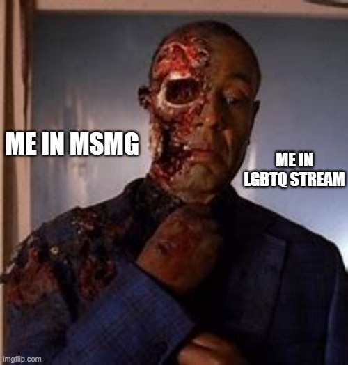 ME IN MSMG; ME IN LGBTQ STREAM | made w/ Imgflip meme maker