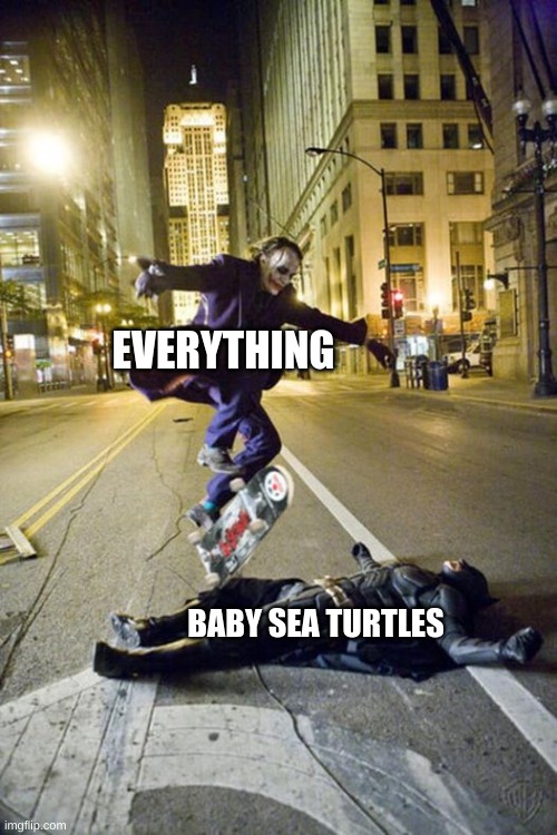 joker skateboarding over bat man | EVERYTHING BABY SEA TURTLES | image tagged in joker skateboarding over bat man | made w/ Imgflip meme maker