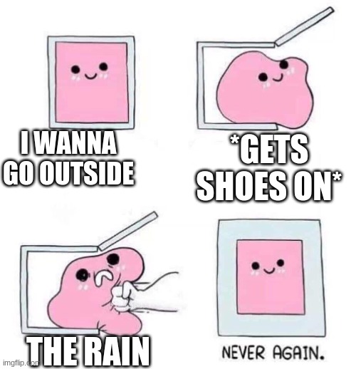 Never again | I WANNA GO OUTSIDE; *GETS SHOES ON*; THE RAIN | image tagged in never again | made w/ Imgflip meme maker