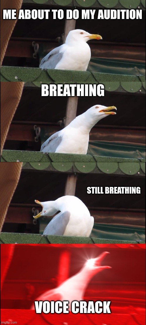 Every time... | ME ABOUT TO DO MY AUDITION; BREATHING; STILL BREATHING; VOICE CRACK | image tagged in memes,inhaling seagull | made w/ Imgflip meme maker